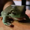 dumpygeorge - @pattyupton8 - TikTok
