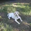 patriciaupton7 - @patriciaupton7 - TikTok