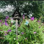 Pat Wakefield - @pat720 - Instagram