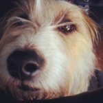 Pat Wakefield - @pat_wakefield - Instagram