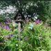 Pat Wakefield - Facebook