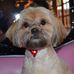 Pat Waller - Facebook