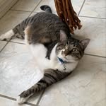 P. J. Warren - @_pat_warren - Instagram