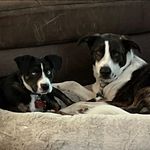 Pat Warren - @pat.warren.927 - Instagram