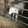 Pat Watkins696 - @patwatkins696 - TikTok