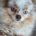 Pat Watkins - @patwatkins654 - Instagram