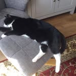 Pat Watkins - @pat4542 - Instagram