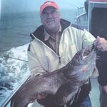 Pat Webster - @webstpat - Instagram