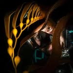 Pat Webster - @underwaterpat - Instagram