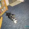Pat Weeks - @pat.weeks5 - TikTok