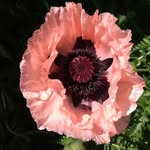Pat Weigel - @pweig12.12 - Instagram