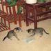 Pat Weigel - Facebook
