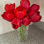 Pat Bentrup Weinstein Harrison - @patriciaweinsteinharrison - Instagram