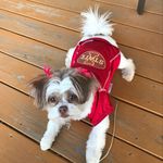 Pat Lange Wendt - @pat.langewendt - Instagram