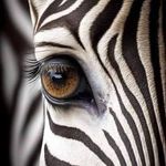 Pat Wendt - @patwendt2 - Instagram