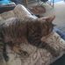 Pat Wendt - Facebook