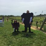 PatWendtWhere - @patwendtwhere - Instagram