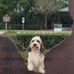 Patti Whitlock - Facebook