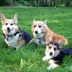 Pat Whitney - @whitneypat - Instagram