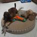 Pat Whitney - Facebook