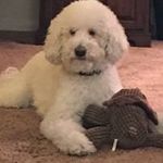 Pat Whitney - @patwhitney3664 - Instagram