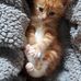 Pat Wight - Facebook