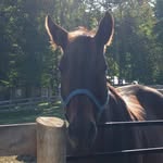 Pat - @patwilbur - Instagram