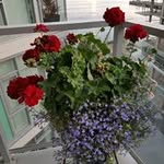 Pat Wilbur - @jackie.wilbur1 - Instagram