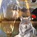 Patty Wilbur - Facebook