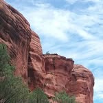 Pat Colley Wilhelm - @pat.c.wilhelm - Instagram