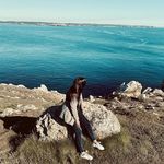 Pat Willis - @pat_willis_byqu - Instagram