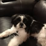 Pat Wise - @pat.wise.3954 - Instagram