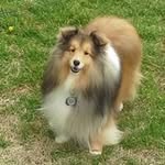 Pat Wise - @pat.wise.585 - Instagram