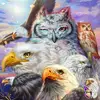 patwise17 - @patwise17 - TikTok