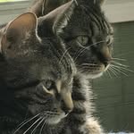 Pat McGarvey Wiseman - @pat.m.wiseman - Instagram