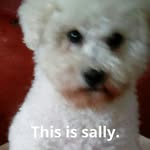 Pat Wiseman - @pawiseman32 - Instagram