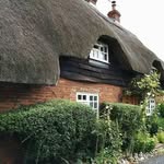 LESLIE PATRICK ANDREW WITHERS - @patwithers12345 - Instagram