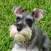 Pat Withers - Facebook