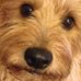 Pat Withers - Facebook
