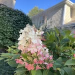 Mary Pat Witmer - @mpwitmer - Instagram