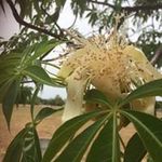 Pat Witte - @witteres - Instagram