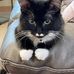 Patsy Wold - Facebook