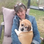 Pat Wolf - @pat.wolf.102 - Instagram