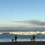 Pat Wolf - @granski - Instagram