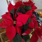 Pat Womack - Facebook