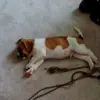 pat wooten - @patwooten0 - TikTok