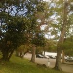 Patrica Ann Wooten - @wootenpatricaann - Instagram