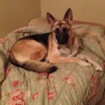 @pat_workman - Instagram