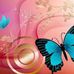 Patty Workman - Facebook