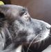 Pat Worth - Facebook